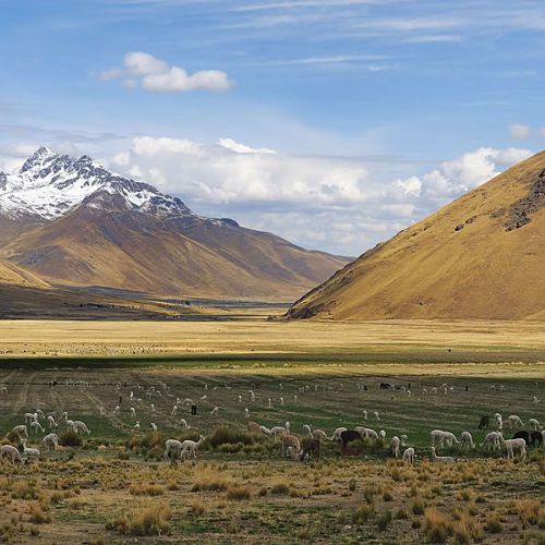 Bus Turístico Rutal del Sol Cusco Puno