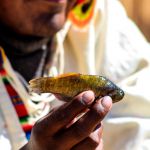 Lago Titicaca Full Day Puno