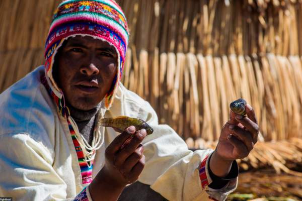 Tour Lago Titicaca 2D1N (Uros, Amantaní y Taquile)